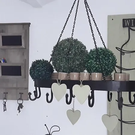 Moderne Frische Im Gewoelbe