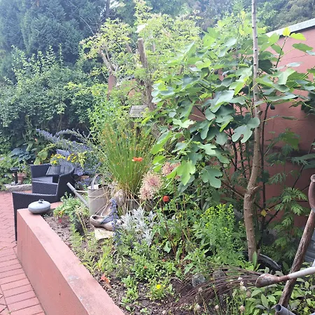 דירה Moderne Frische Im Gewoelbe בויצנבורג